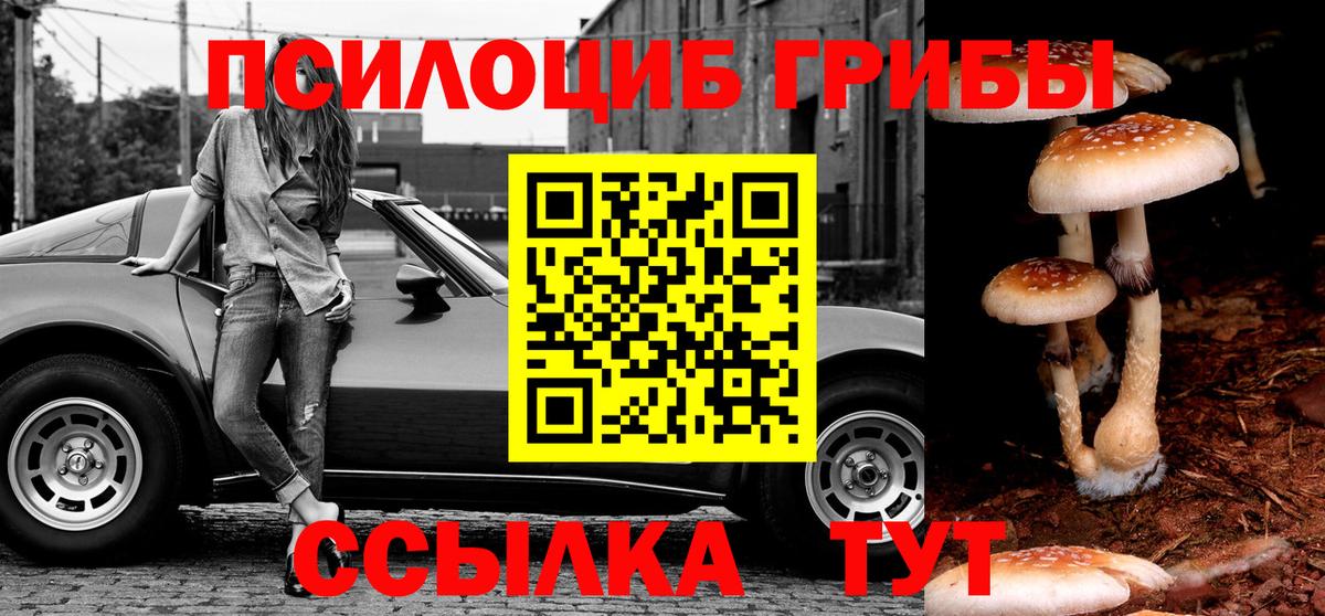 Псилоцибиновые грибы Magic Shrooms  Вход с VPN  Добрянка  Галлюциногенные грибы Cubensis 